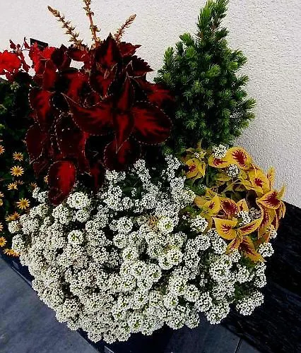 Zakatek Pod Gorcami * Waksmund