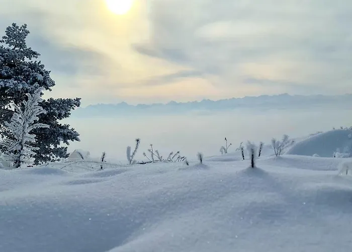 Zakatek Pod Gorcami Alpehytte